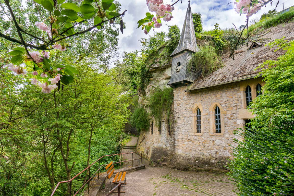 From the Meuse Valley to the Heart of Europe — photo 5