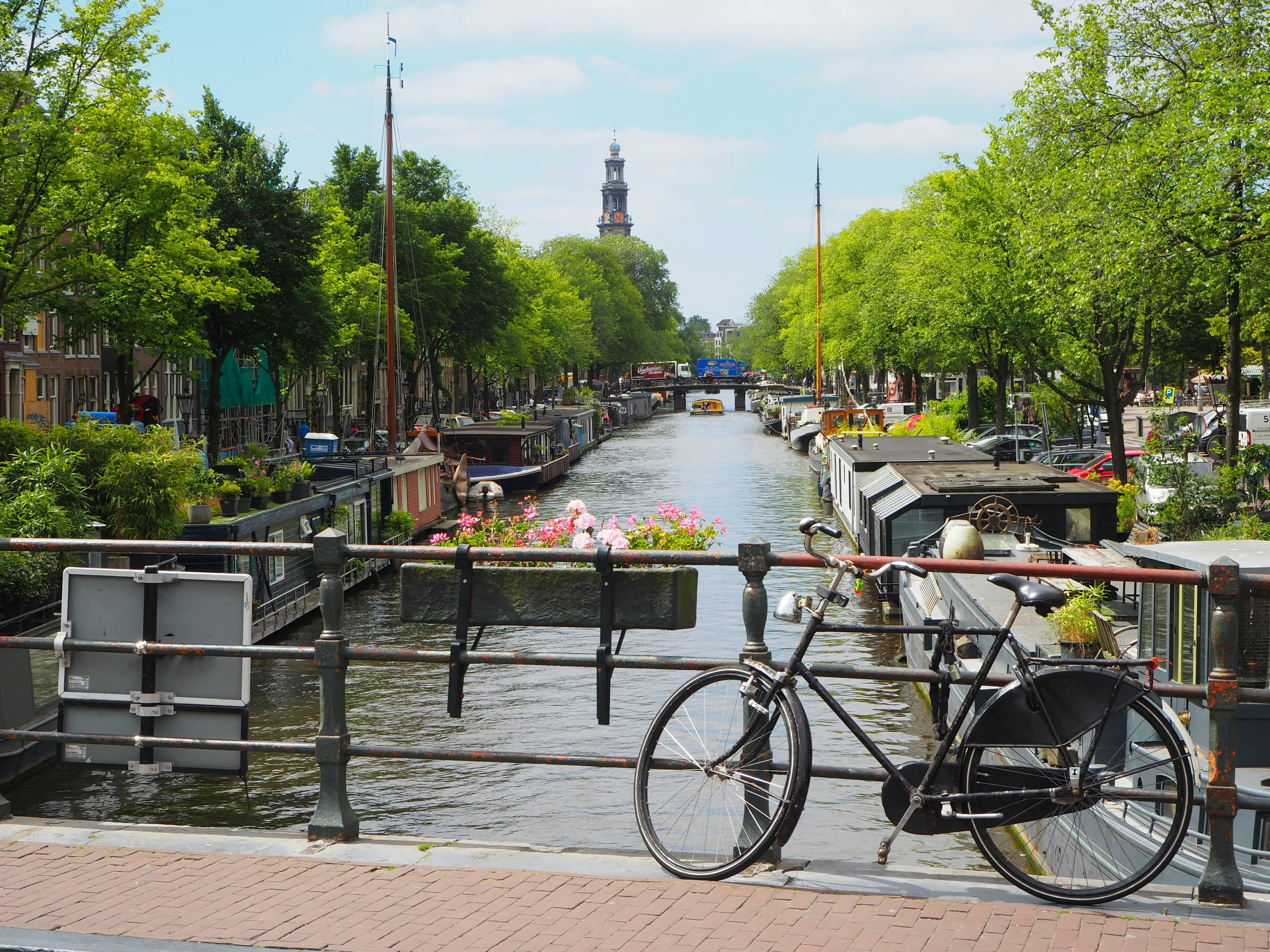 Holland & Amsterdam — photo 4