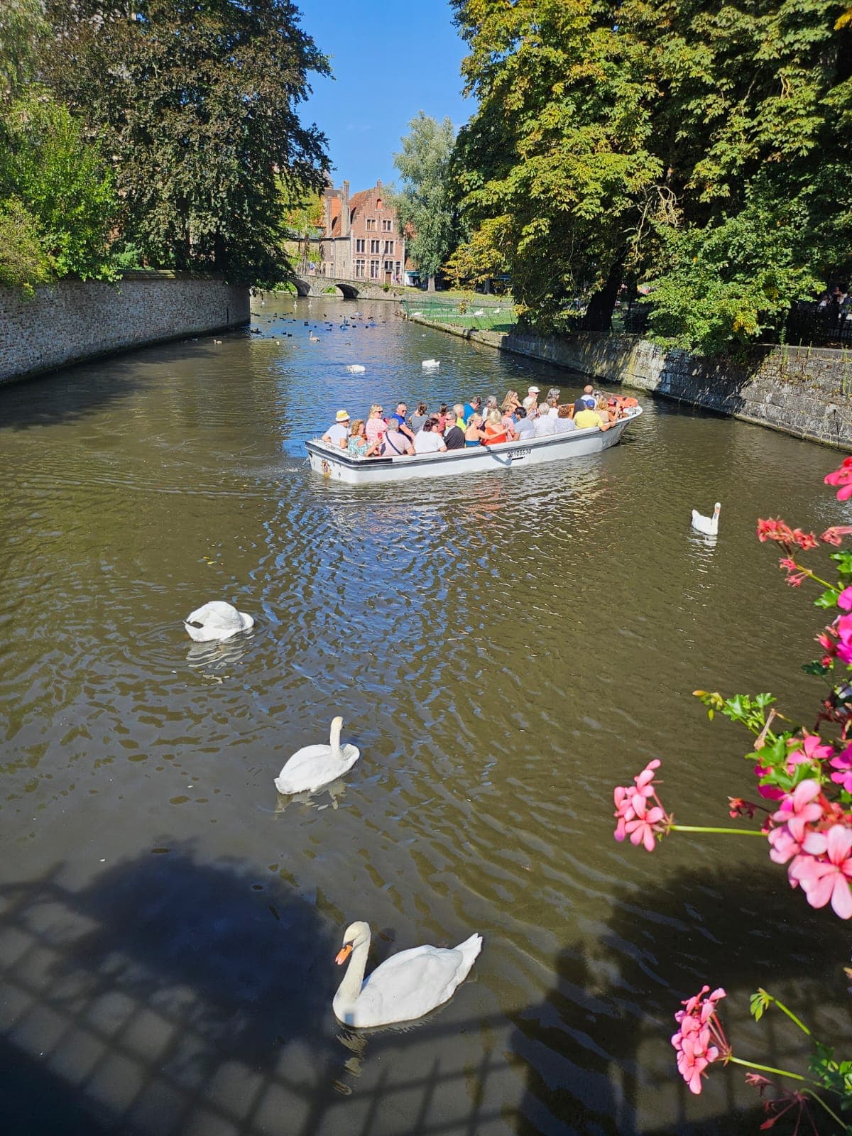 Bruges — A Fairytale Frozen in Time — photo 9