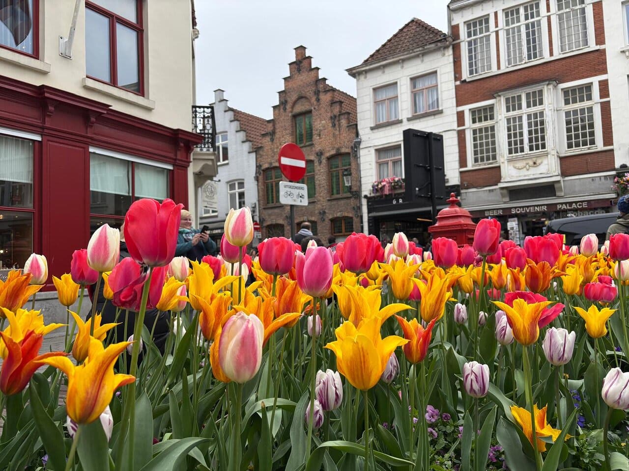 Bruges — A Fairytale Frozen in Time — photo 29