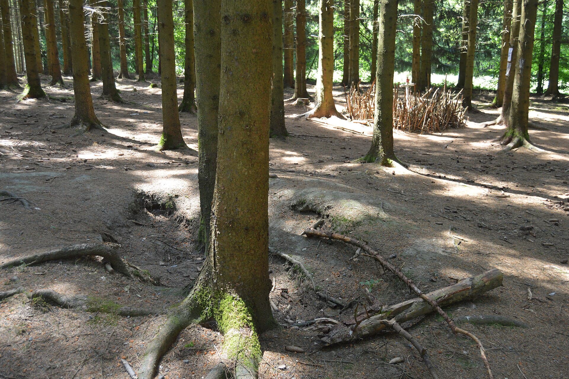 THE BATTLE OF THE BULGE — WHERE HISTORY WAS WRITTEN IN THE ARDENNES — photo 17