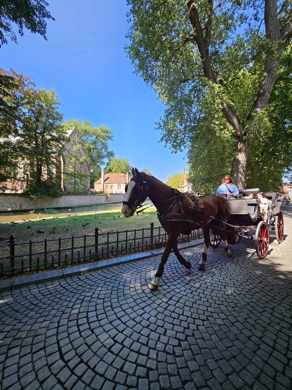 THE HEART OF BELGIUM — HISTORY, ELEGANCE & CHOCOLATE — photo 20
